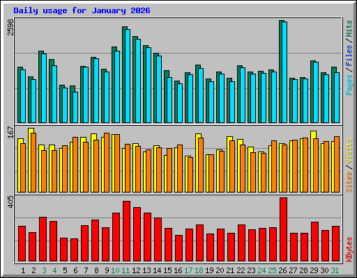 Daily usage for January 2026