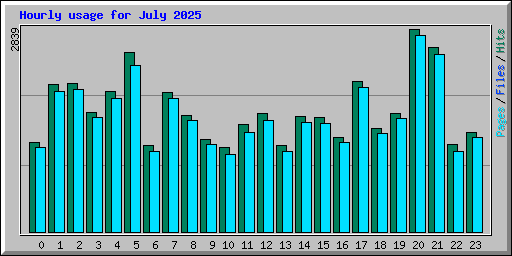 Hourly usage for July 2025