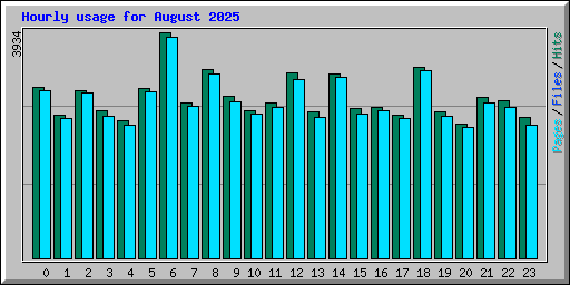 Hourly usage for August 2025