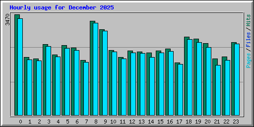 Hourly usage for December 2025