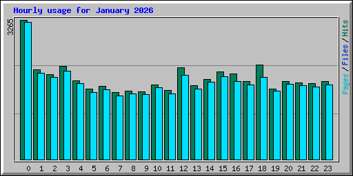 Hourly usage for January 2026