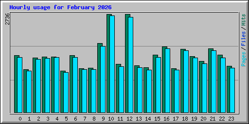 Hourly usage for February 2026