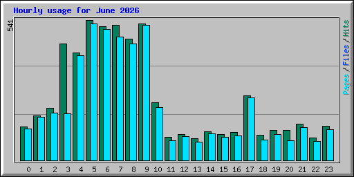 Hourly usage for June 2026