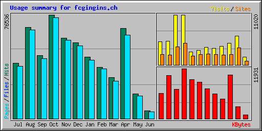 Usage summary for fcgingins.ch